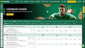 A Comprehensive Review of Betwinner Sportsbook
